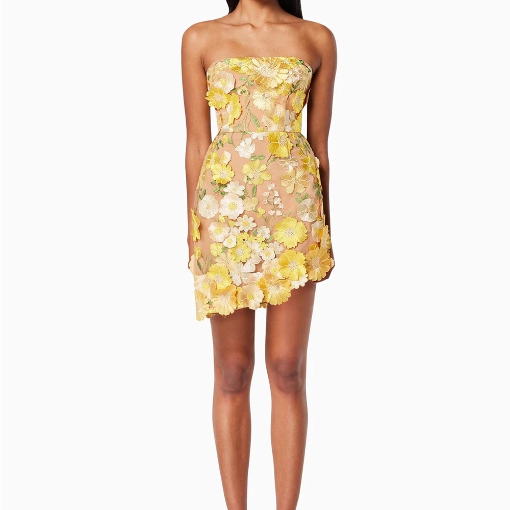 Elliatt New Age Mini Dress